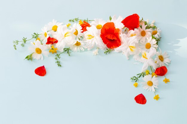 Photo summer flowers in sunny light on blue background