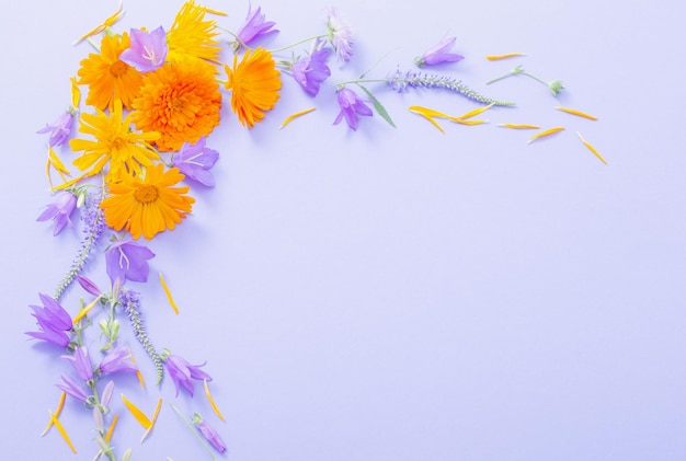 紫色の紙の背景に夏の花