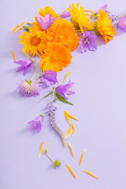 Summer flowers on violet paper background