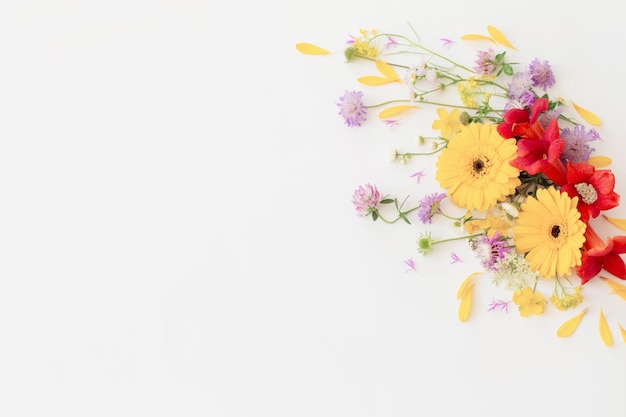 summer flowers on white background