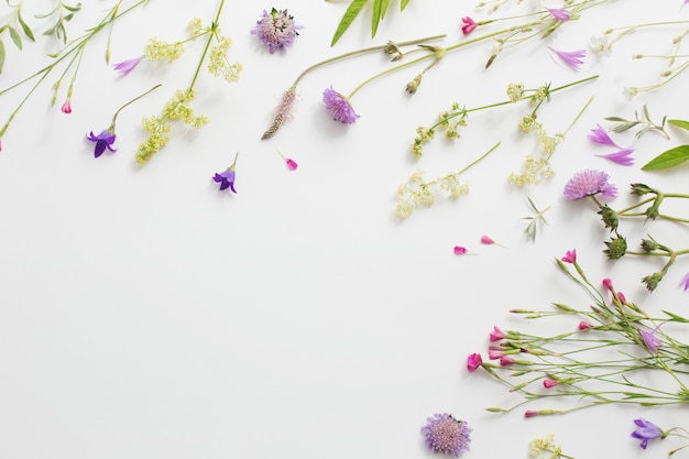 Summer flowers on white paper background