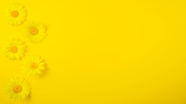 Summer flowers on yellow background. copy space