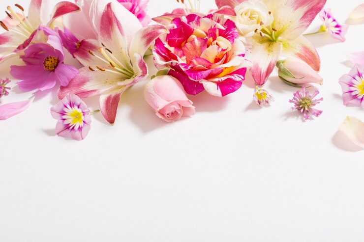 Summer flowers