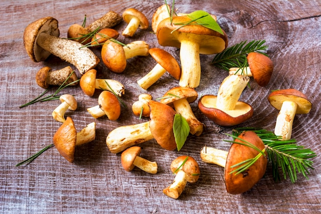 Funghi di bosco estivi sul legno rustico