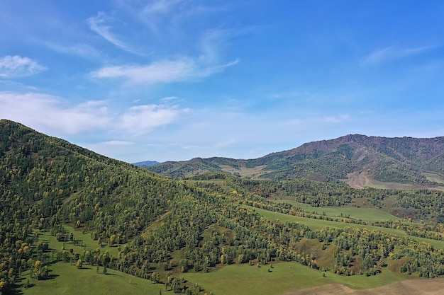 夏の森のトップビュードローン、背景緑の木々のパノラマ風景