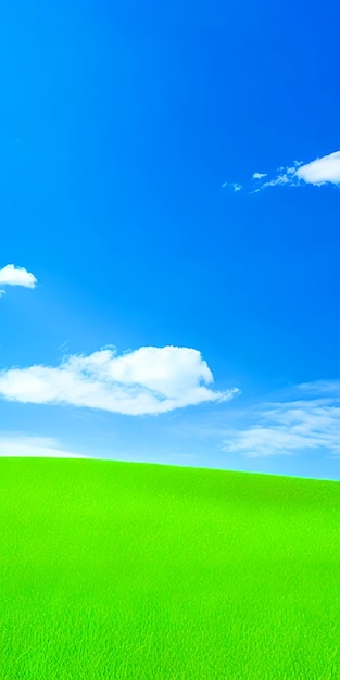 Summer Fresh Blue Sky And Grass Close To Nature Background