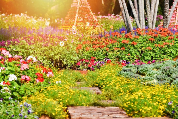 夏の花園は色とりどりの植物と花がき公園を飾る春の花