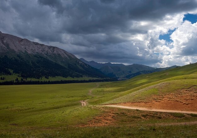 Foto gola estiva sul fiume tekes nelle montagne di terskey alatau paesaggio montuoso del kazakistan