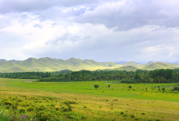 Summer green field, trees on the background of mountains under a cloudy sky. Siberia, Russia