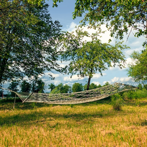 summer, hammock between trees in nature