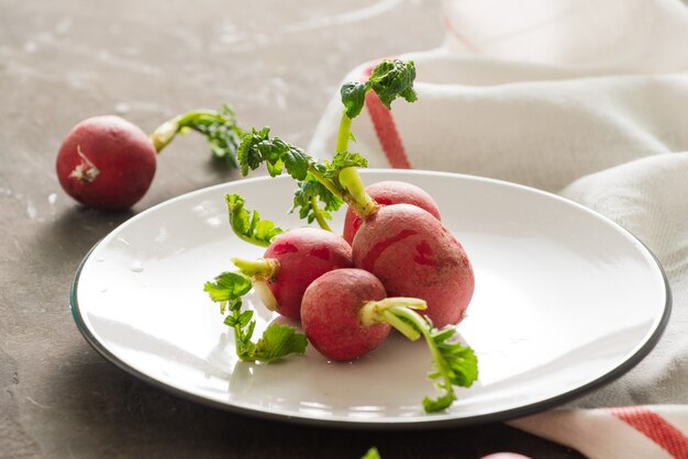 Summer harvest red radish. Growing organic vegetables