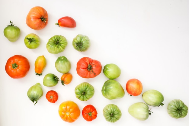 Summer harvest of vegetables concept