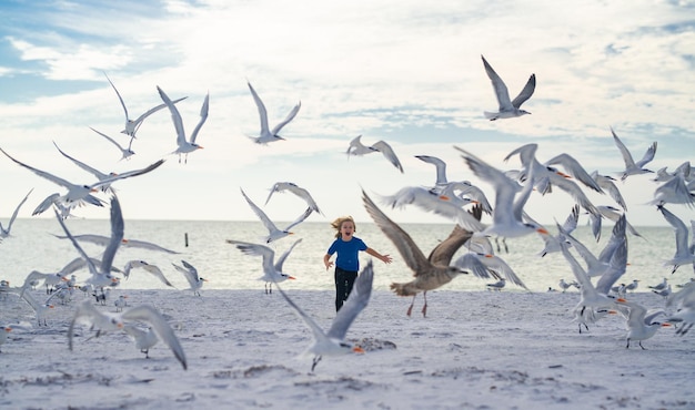 Летний праздничный ребенок бегает по чайкам на пляже, летнее время милый маленький мальчик гоняется за птицами рядом