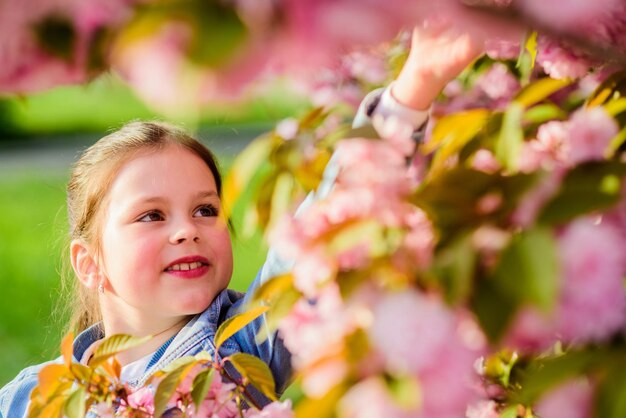 Summer holiday Childhood beauty happy girl in cherry flower Sakura tree blooming blossom smell allergy skincare Natural cosmetics for skin small girl in spring flower bloom Happy spring day