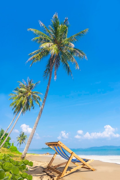 Photo summer holiday and vacation design inspiration of tropical beach palm trees and white sand