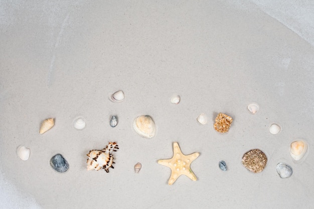 Summer horizontal background starfishes and seashells on the sand of the beach Place for an inscription The basis for the postcard