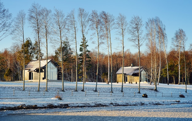 Summer houses on the island on a windy winter day Saaremaa, Estonia. View from window of car.