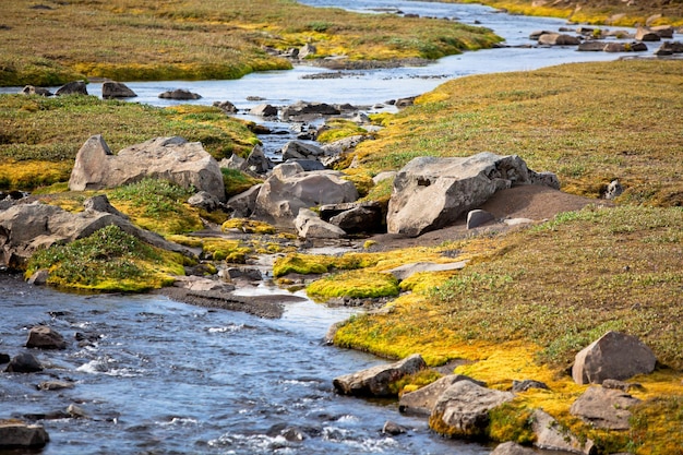 Summer Iceland Landscape with Small River Stream