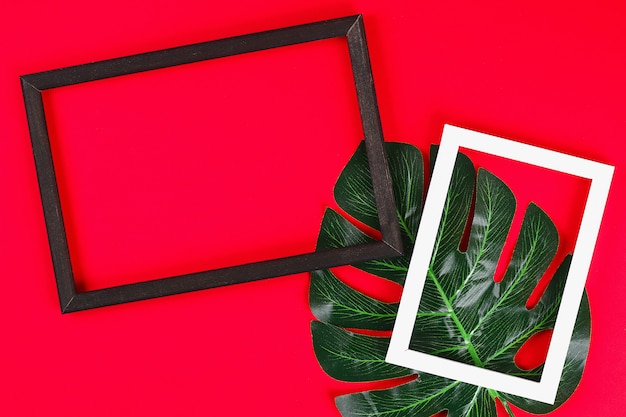 Summer ideas concept tropical leaf white black frame border on red background, Top view copy space