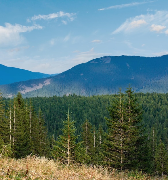 Foto visto delle montagne di ihrovets estiva carpati ucraina