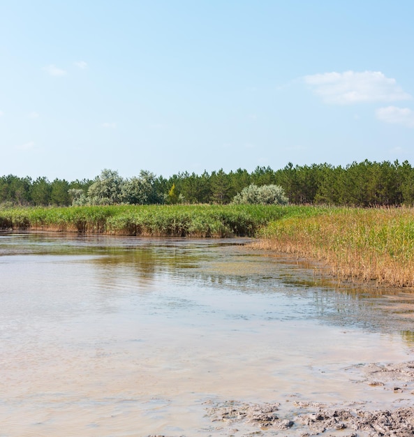 ヨウ素ウクライナの高含有量のおかげで治療効果のある夏のヨウ素湖