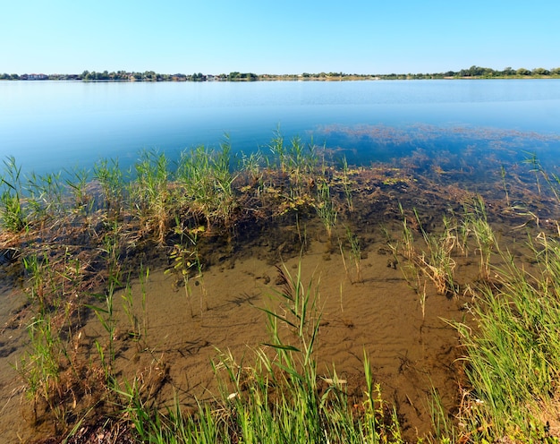 Summer lake calm rushy shore