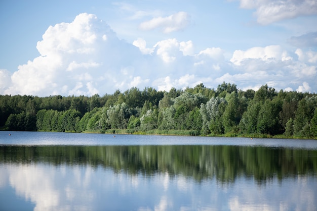 Summer lake landscape