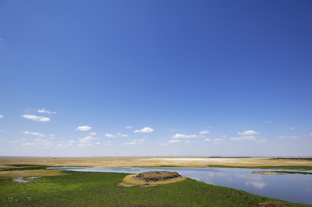 Summer landscape in Africa