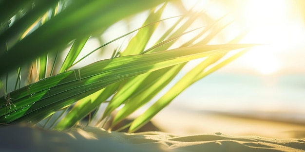Летний пейзаж фон с пальмами и моремКрасочный летний шаблон Концепция отдыха Generative AI
