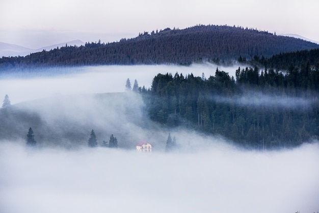 Summer landscape in the Carpathian mountains in Ukraine