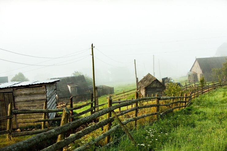 Фотография летний пейзаж в карпатах в украине