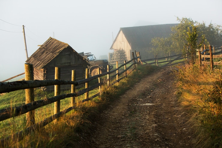 Фотография летний пейзаж в карпатах в украине