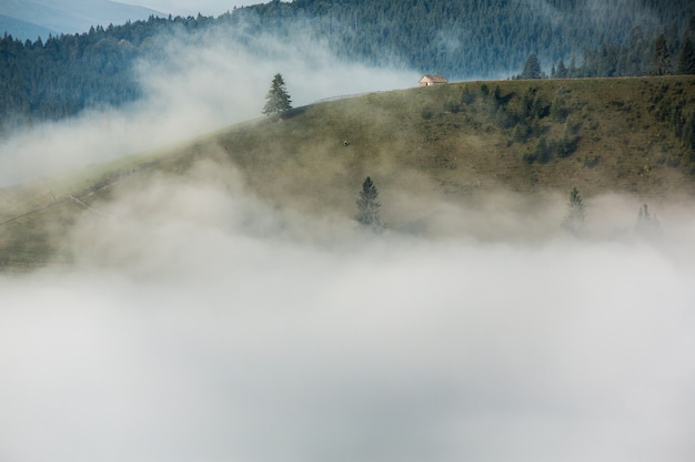 Summer landscape in the Carpathian mountains in Ukraine