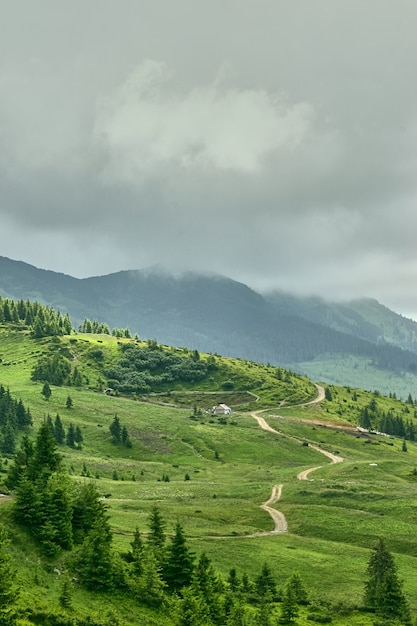 Summer landscape in carpathian mountains with cloudy sky. Carpathian, Ukraine, Europe.