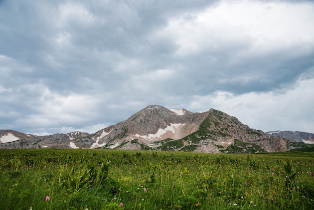 초원과 눈 덮인 산이 있는 산골짜기의 흐린 날 여름 풍경 러시아 Adygea