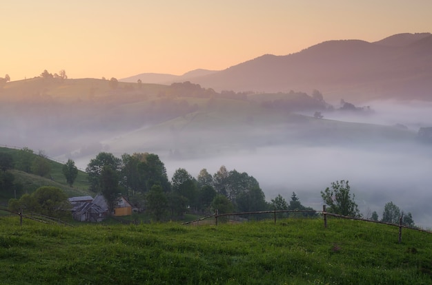 Summer landscape at dawn in a mountain village