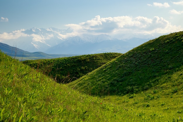 Летний пейзаж, зеленые холмы и голубое небо