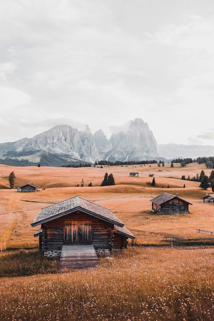 Summer Landscape Green Mountains