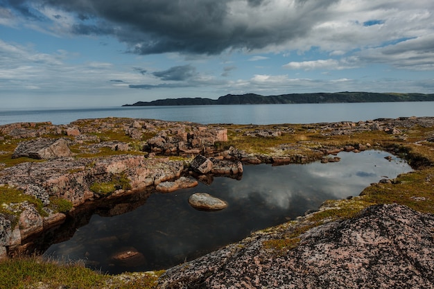 Summer landscape of the green polar tundra in the vicinity Teriberka