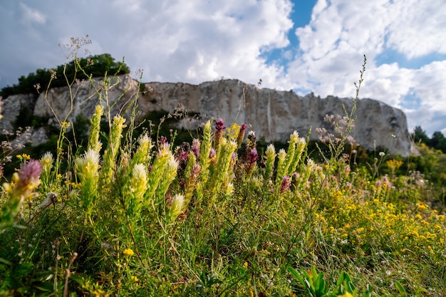 Foto paesaggio estivo di altopiani collinari con prati verdi