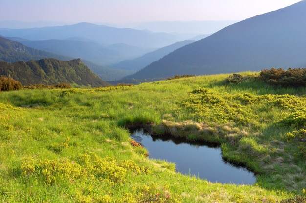 Фото Летний пейзаж в горах с озером