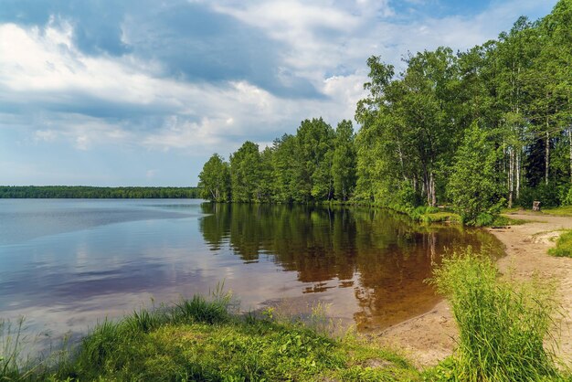 Summer landscape on the lakeVsevolozhsk Leningrad region