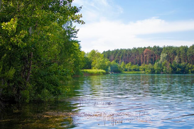 여름 풍경 대리석 협곡 우크라이나 Zhytomyr 북부 우크라이나 Zhytomyr 협곡에 있는 침엽수 여름 숲 한가운데에 에메랄드 호수와 바위가 있는 풍경의 경치