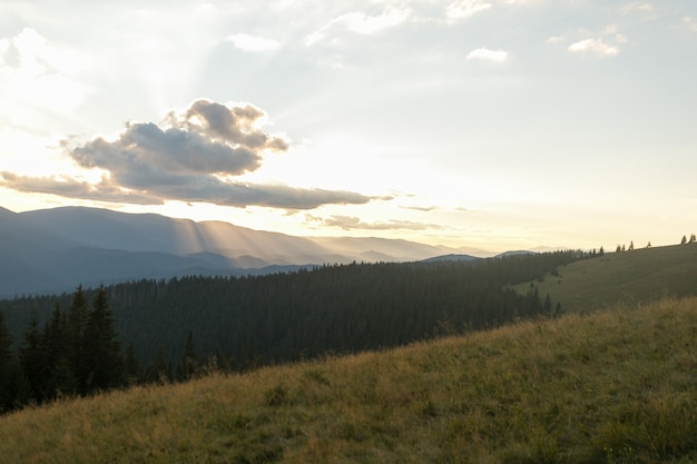 Summer landscape in mountains and the dark blue sky with clouds. Landscape from Bucegi Mountains, part of Southern Carpathians in Romania in a very foggy day