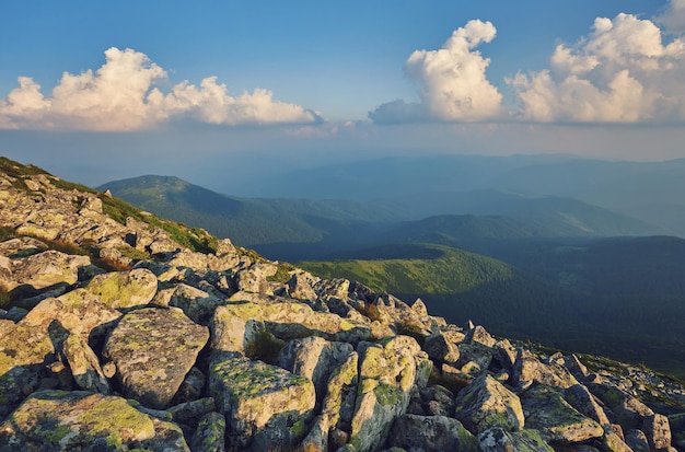 Photo summer landscape in mountains and the dark blue sky