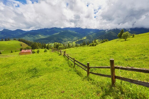 Summer landscape in mountains and the dark blue sky