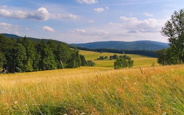 Summer landscape in the mountains golden mountains sudetes czech republic