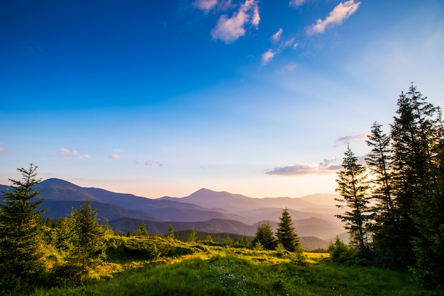 山の夏の風景