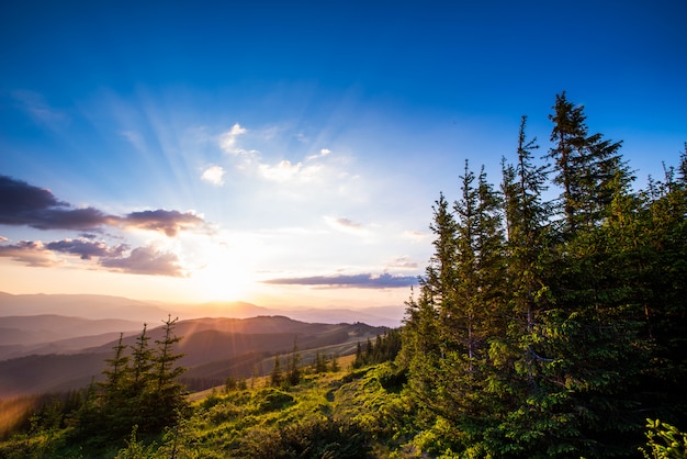 Summer landscape in mountains