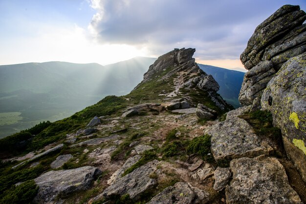 Summer landscape in the mountains